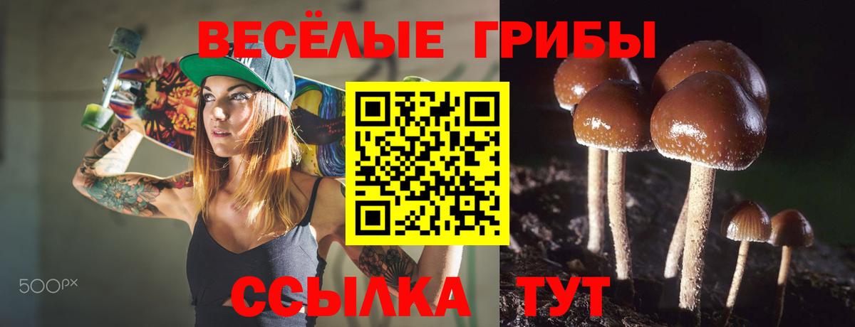 Каннабис Новый Уренгой